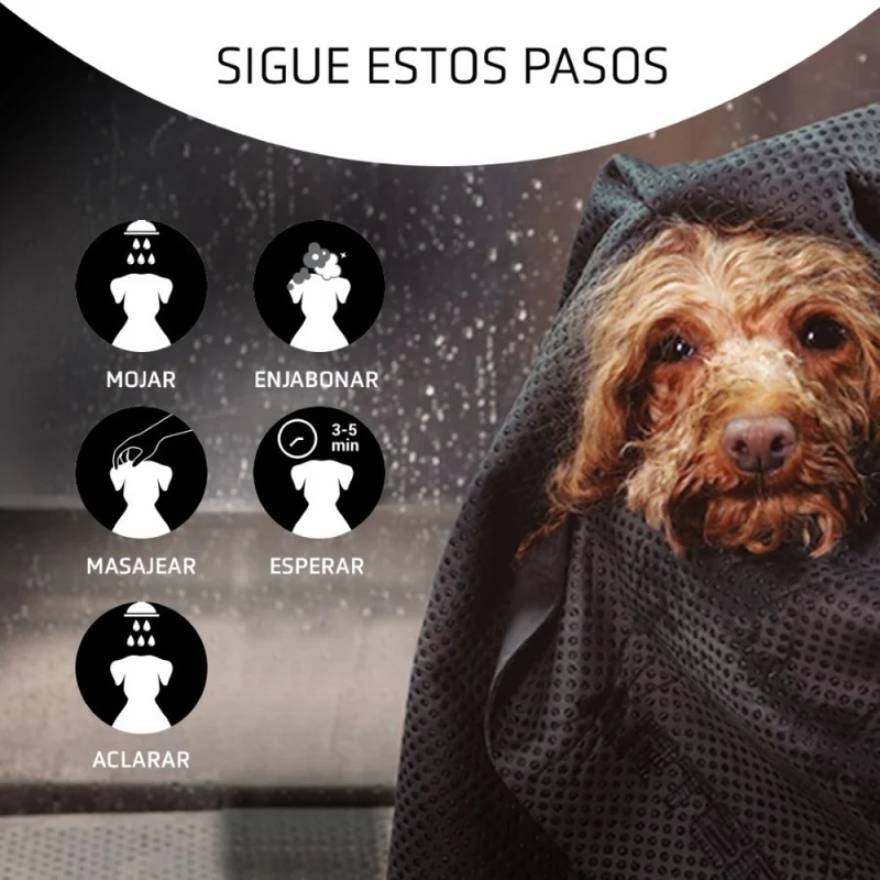 Artero Shampoo Detox Carbón Activo 5L.