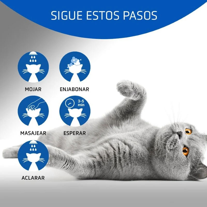 Artero Shampoo Gato 4cats 250ml.