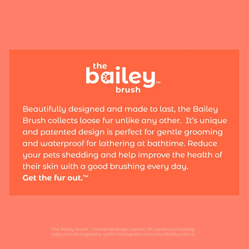 Bailey Brush™ Calm Cat Whisperer Signature Series