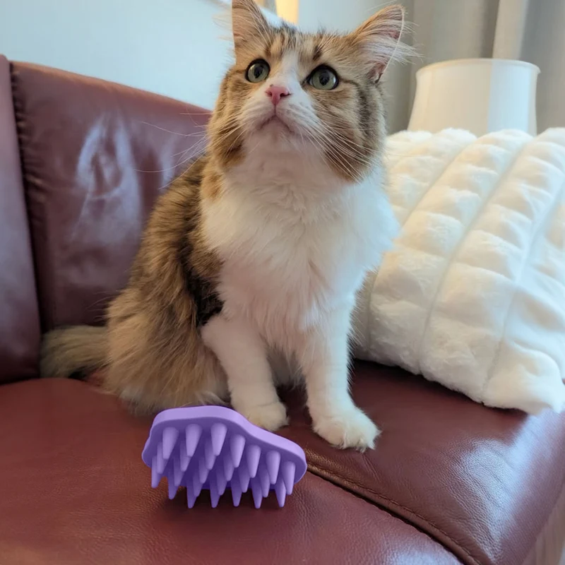 The Bailey Brush™ Cat and Dog Brush (Limited Edition)