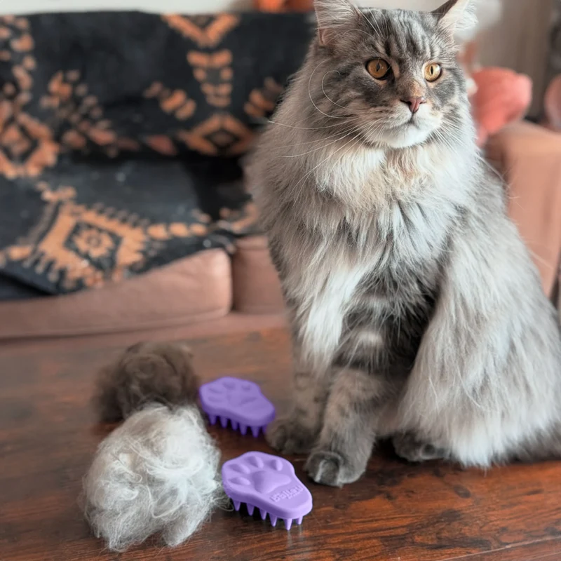 The Bailey Brush™ Cat and Dog Brush (Limited Edition)