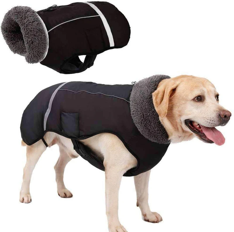 SHARK CAMOUFLAGE DOG COAT