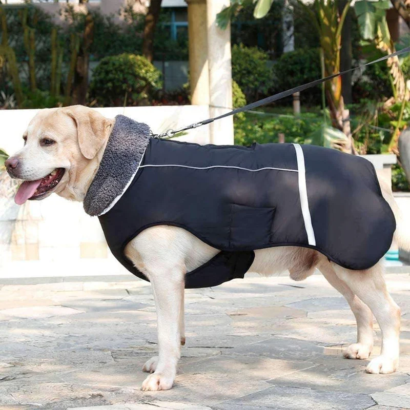SHARK CAMOUFLAGE DOG COAT