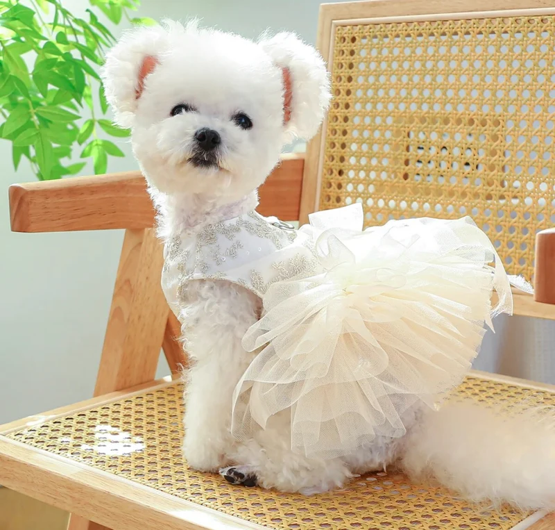 White Bridal Dog Wedding Dress