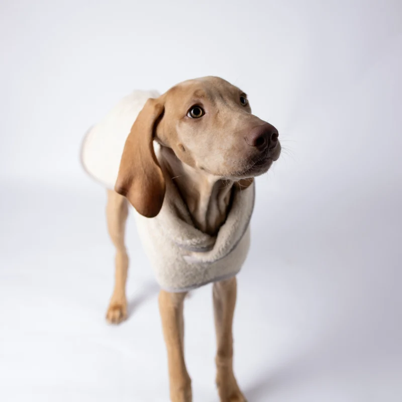 Hundebademantel Cozy Hug von Caruso - OEKO-TEX® zertifiziert - Beige - 6 Größen