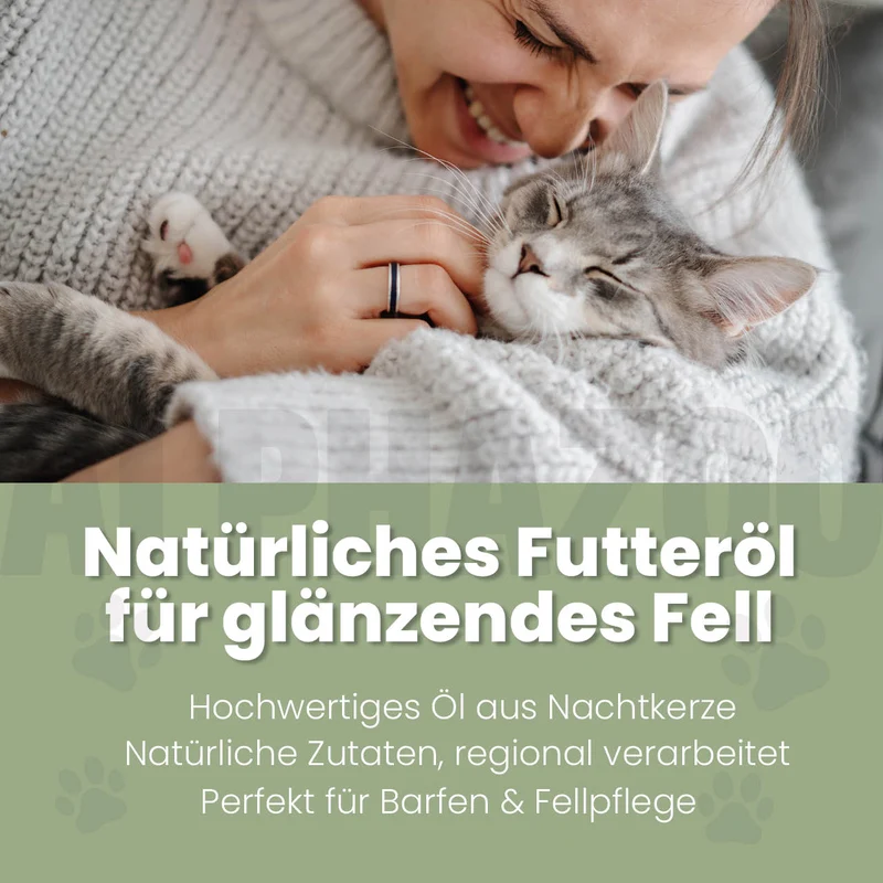 Nachtkerzenöl für Katzen