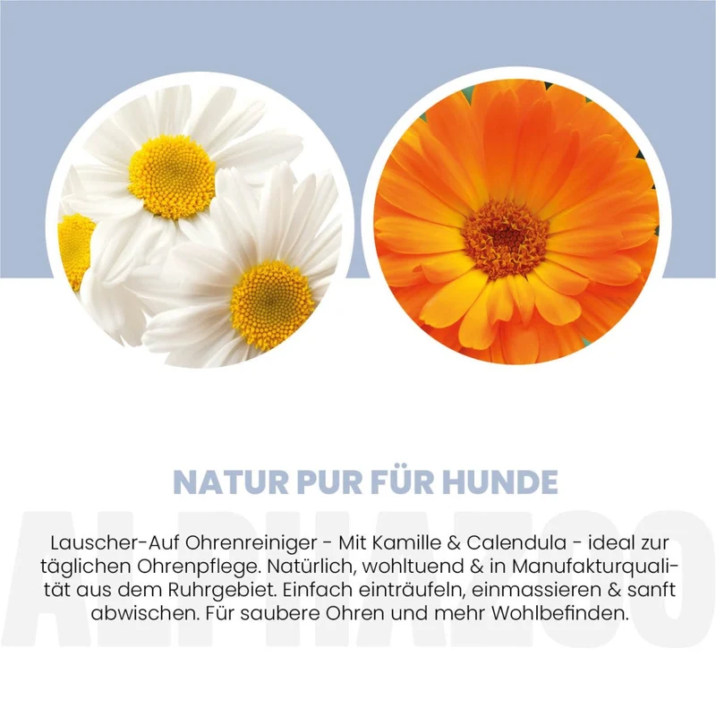 Lauscher-Auf Ohrenreiniger für Hunde
