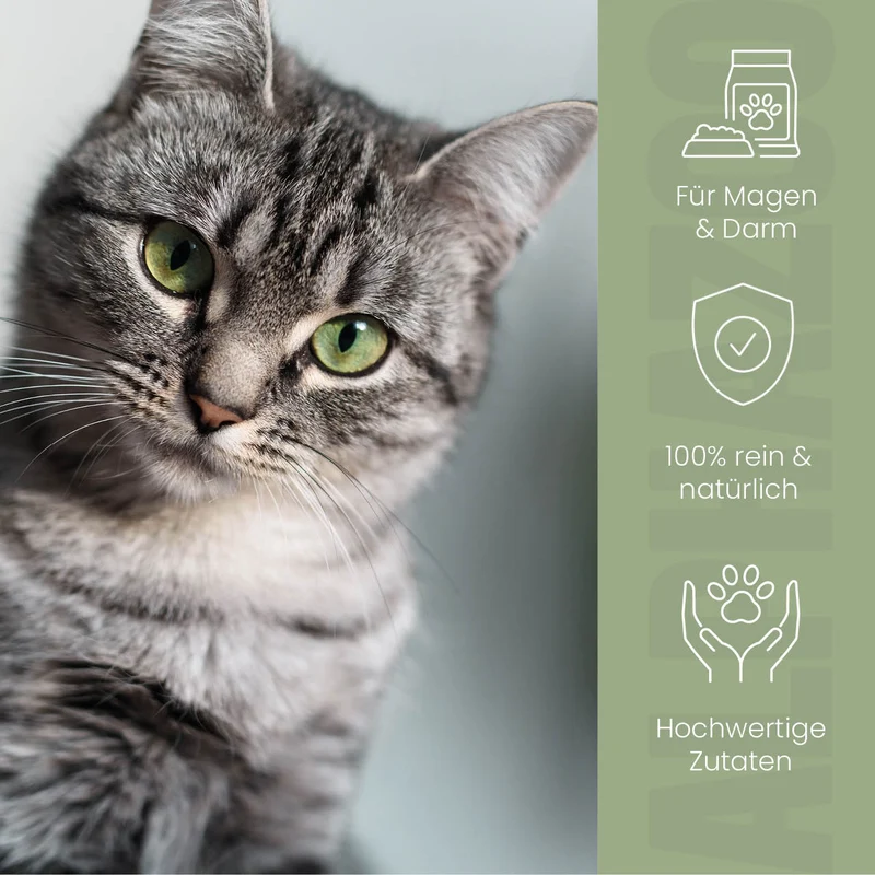 Pupsbremse Futteröl für Katzen