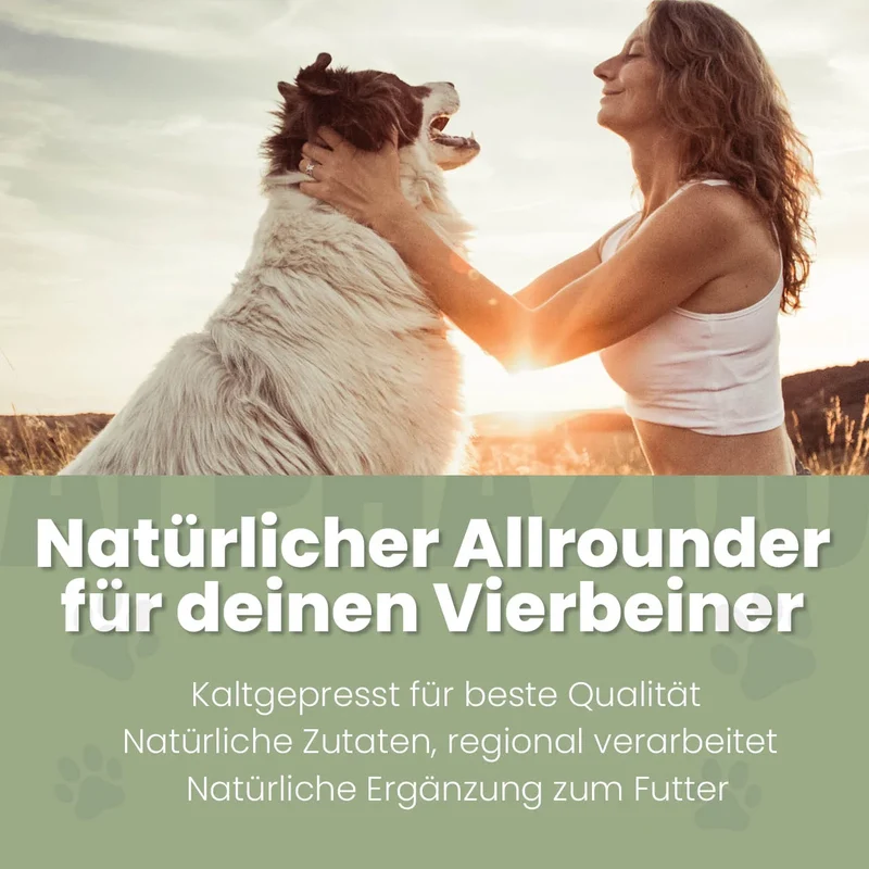 Schwarzkümmelöl für Hunde