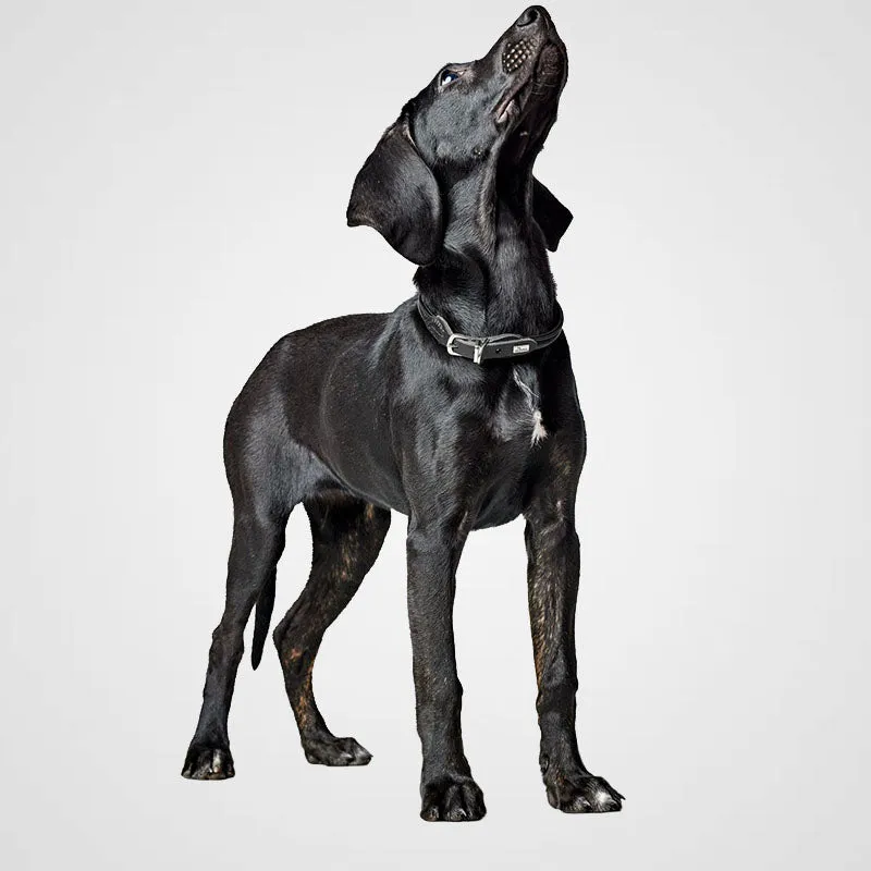 HUNTER - Halsband Round & Soft Canadian Up | hochwertiges Hundehalsband