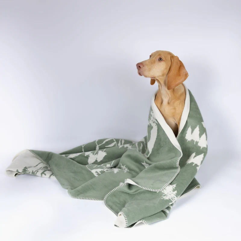Hundedecke Forrest von Caruso - weich & flauschig - Global Recycled Standard zertifiziert