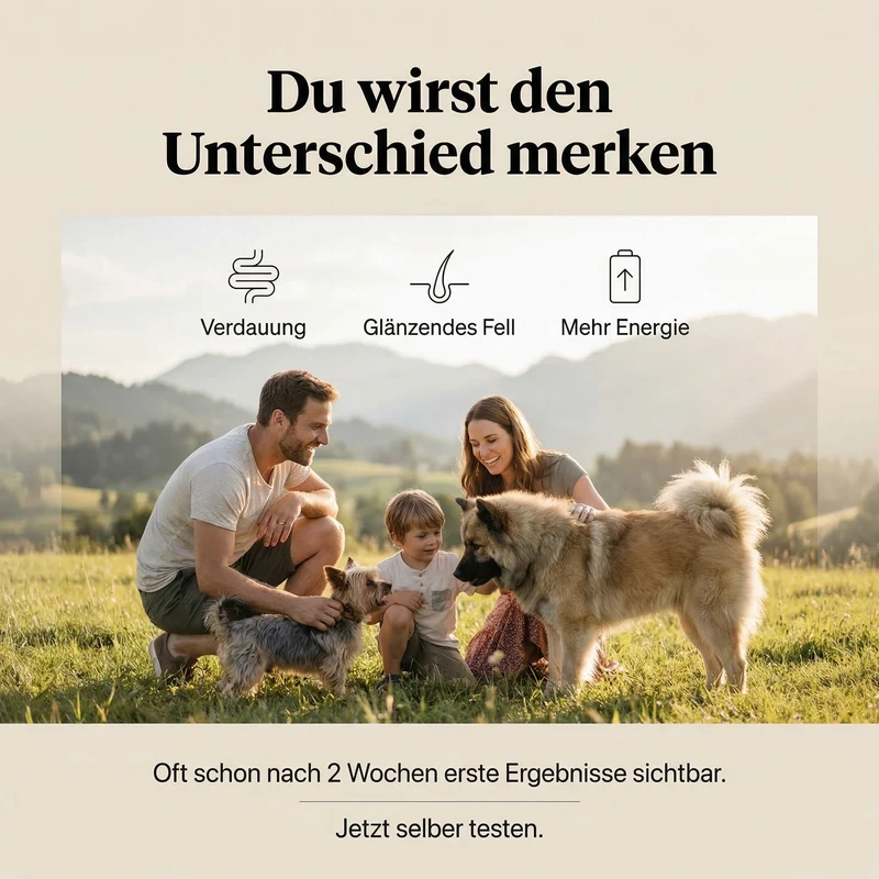 Uncle Rusty's Ente mit Karotten und Hirse Nassfutter - regionale Zutaten