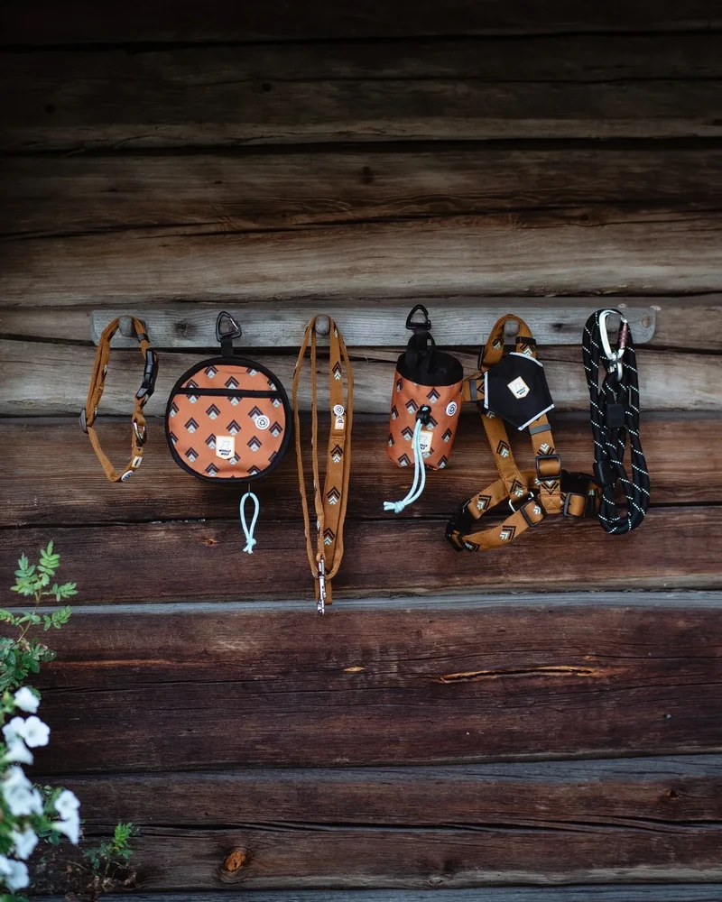 Nachhaltiges Hundehalsband | Recycelt & vegan | Robust | Sea to Summit