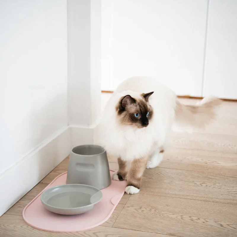 Napfunterlagen "Base" von HOOPO® | 100 % Silikon (BPA-frei) | 3 Farben