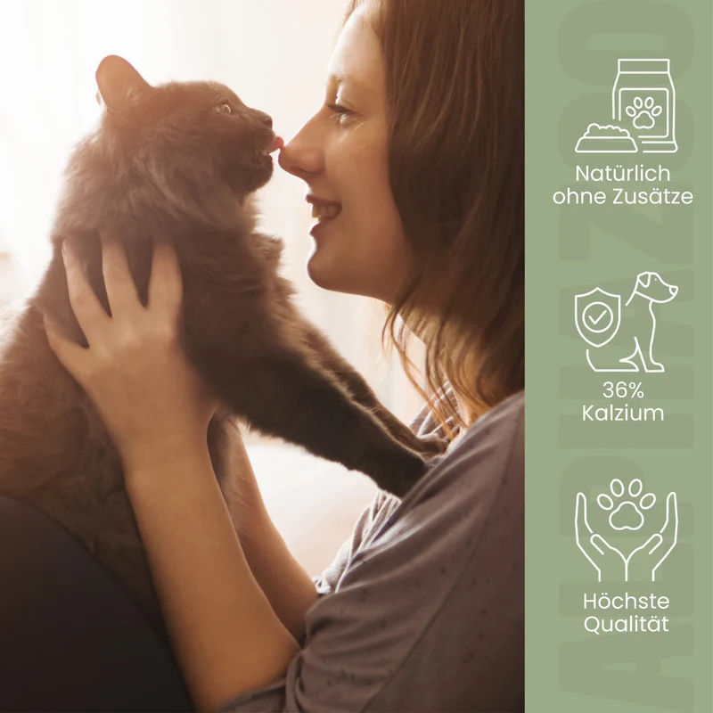 Eierschalenpulver für Katzen