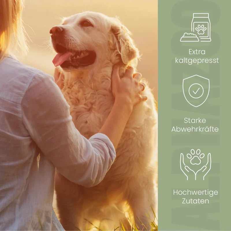 Nachtkerzenöl für Hunde