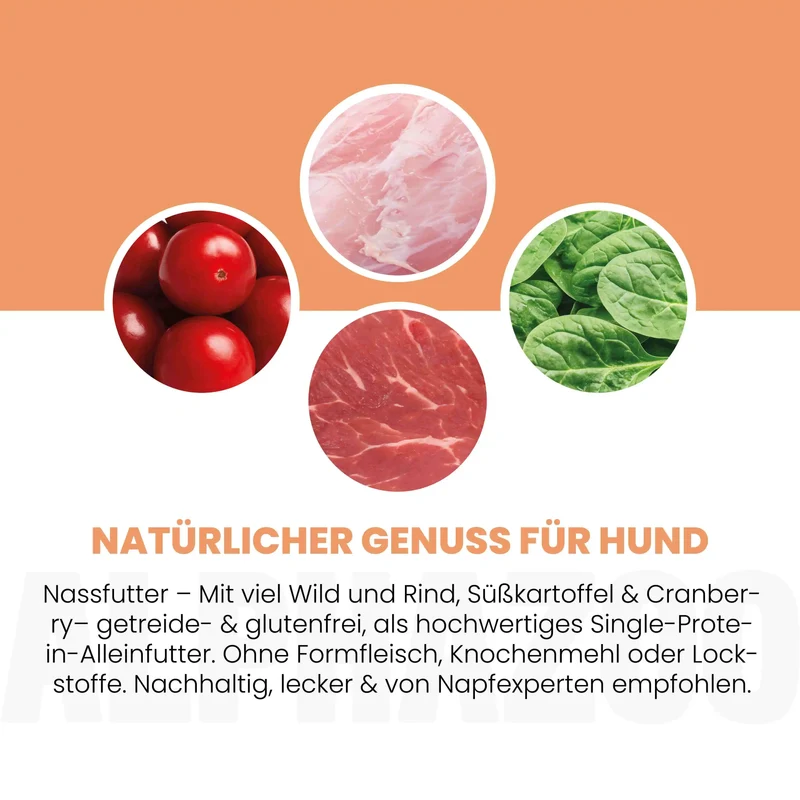 Wild + Rind Nassfutter für Adult Hunde