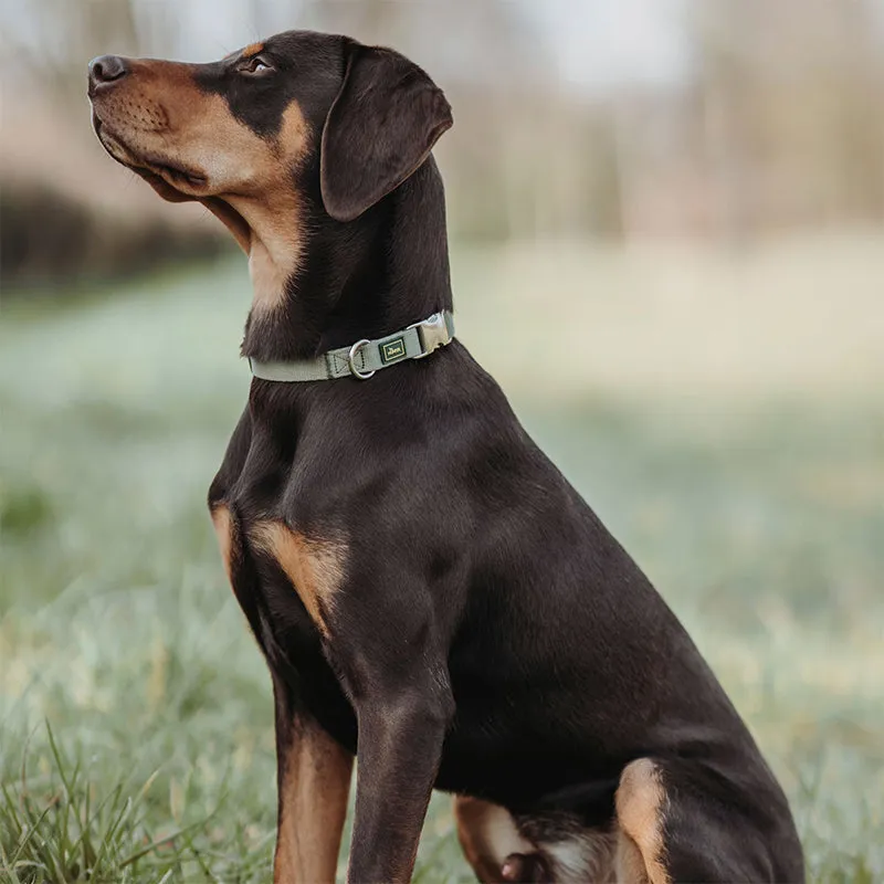 HUNTER - Inari Halsung| Hundehalsband mit Klickverschluss