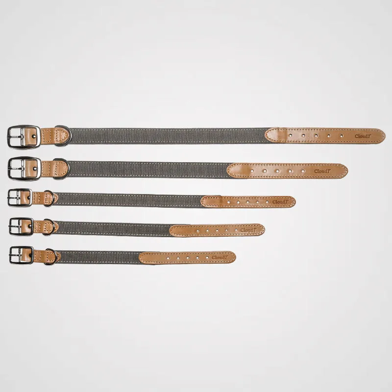 Cloud7 - Halsband Tivoli | Hundehalsband
