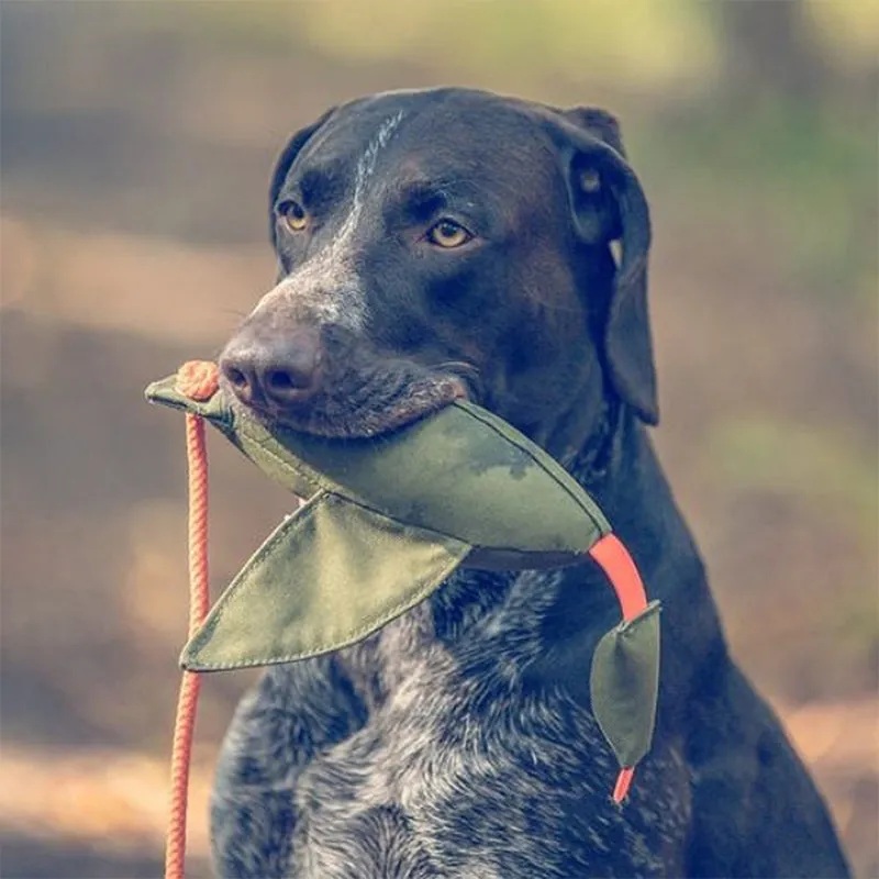 ROMNEYS - Duck Dummy - Entendummy - 400g | Trainingsdummy