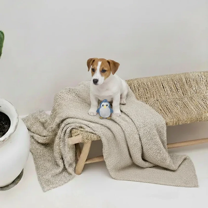 BUDDY. Leder Hundespielzeug Pinguin - für kleine Hunde - schadstoffgeprüft - inkl. 15% Hundetraining Ellen Marques