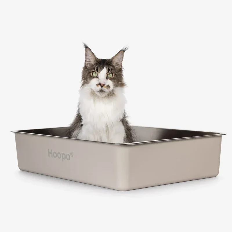 Edelstahl Katzentoilette HOOPO® Pool | Hygienisch & langlebig | Leichte Reinigung