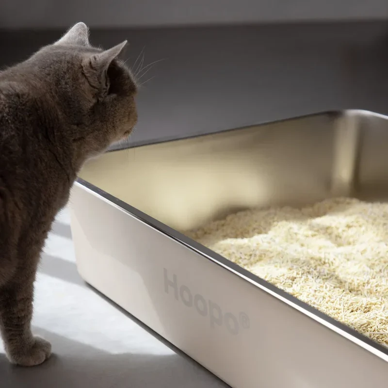 Edelstahl Katzentoilette HOOPO® Pool | Hygienisch & langlebig | Leichte Reinigung