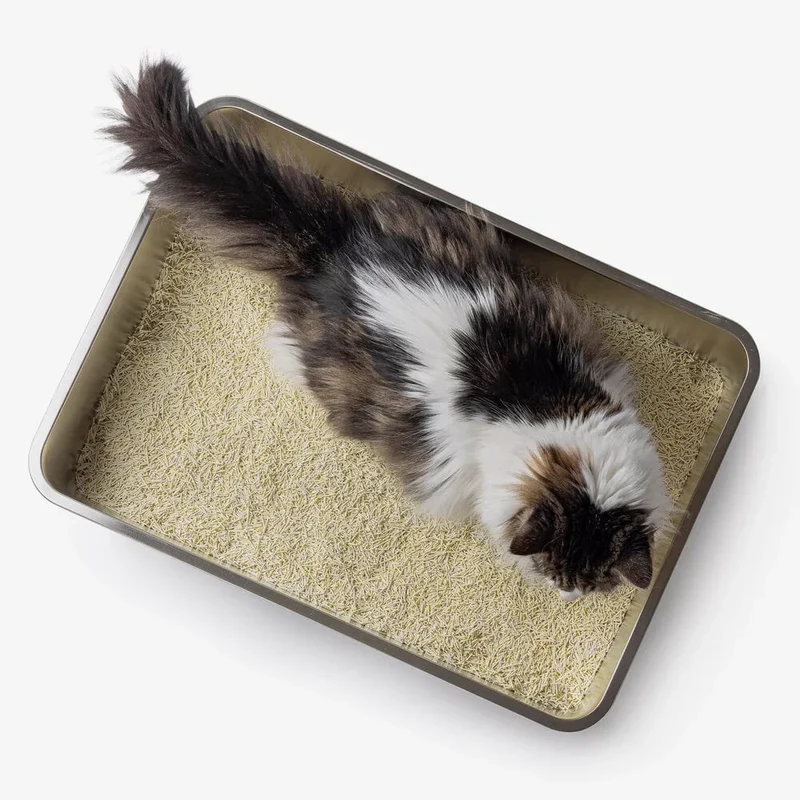 Edelstahl Katzentoilette HOOPO® Pool | Hygienisch & langlebig | Leichte Reinigung
