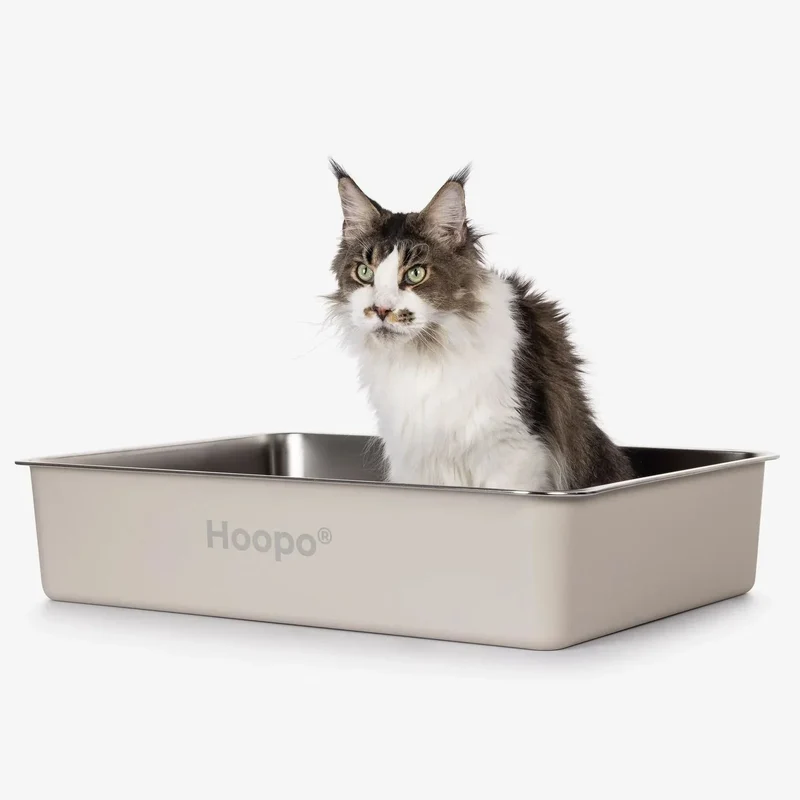 Edelstahl Katzentoilette HOOPO® Pool | Hygienisch & langlebig | Leichte Reinigung