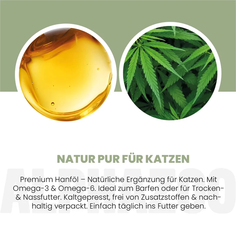 Hanföl für Katzen