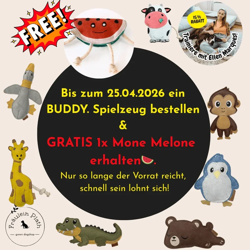 BUDDY. Hundespielzeug Leder Mick Möwe - schadstoffgeprüft - inkl. 15% Rabatt Hundetraining Ellen Marques