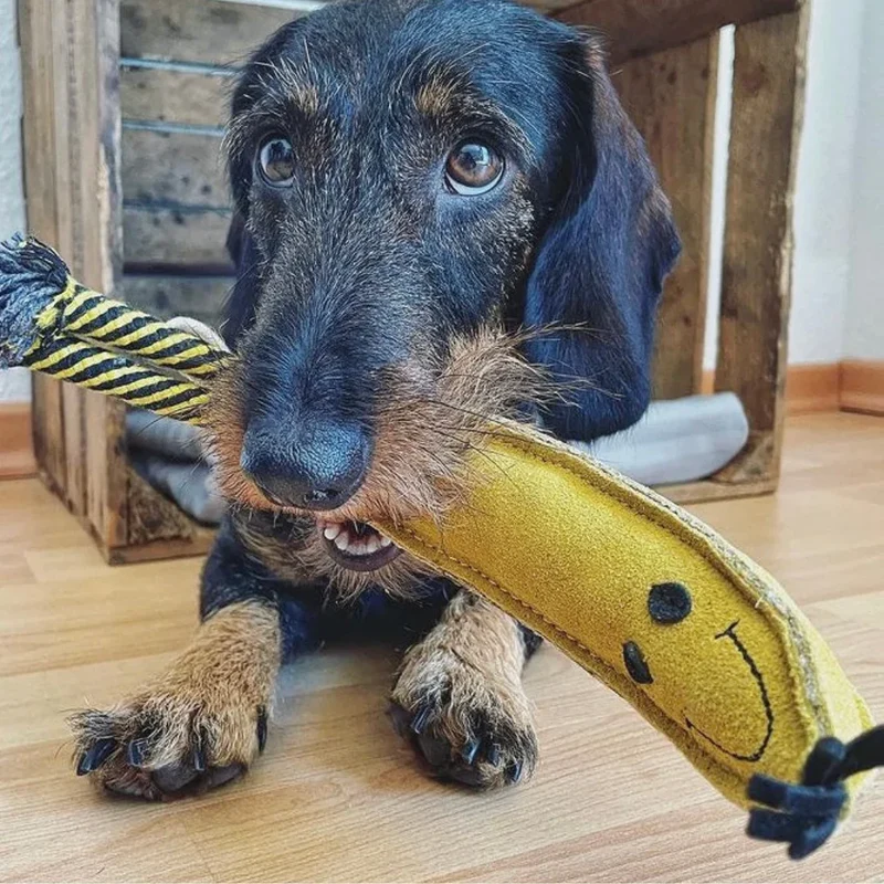 Fräulein Plath Hundespielzeug Banane | 100% schadstoffgeprüft | Upcycling Leder
