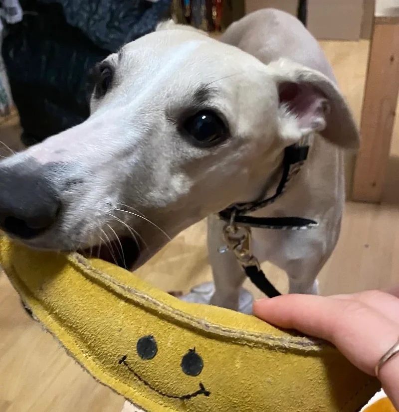 Fräulein Plath Hundespielzeug Banane | 100% schadstoffgeprüft | Upcycling Leder