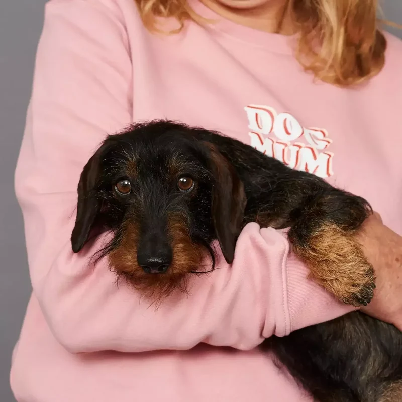 Dog Mum Sweatshirt für die Hundemama | Bio-Baumwolle | Süßes Geschenk