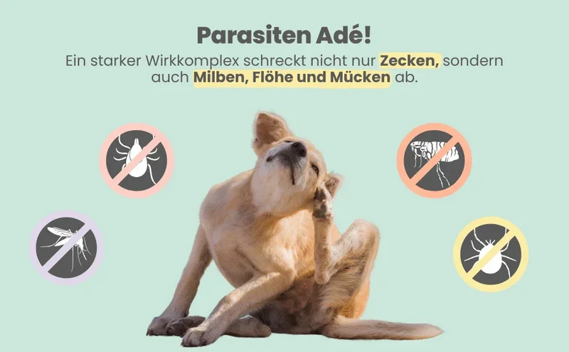 WASSERFEST Noms+ Zpot-on Tropfen für Hunde gegen Flöhe, Zecken, Milben & Mücken | 100% Chemiefrei | 100ml Jahresvorrat
