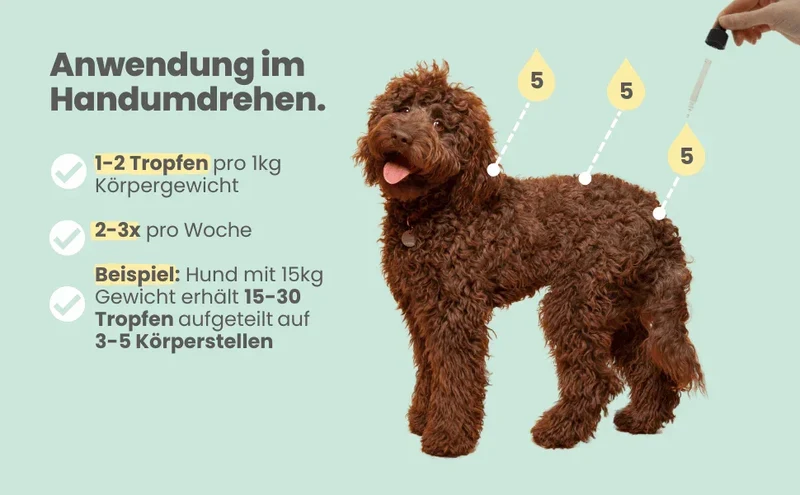 WASSERFEST Noms+ Zpot-on Tropfen für Hunde gegen Flöhe, Zecken, Milben & Mücken | 100% Chemiefrei | 100ml Jahresvorrat