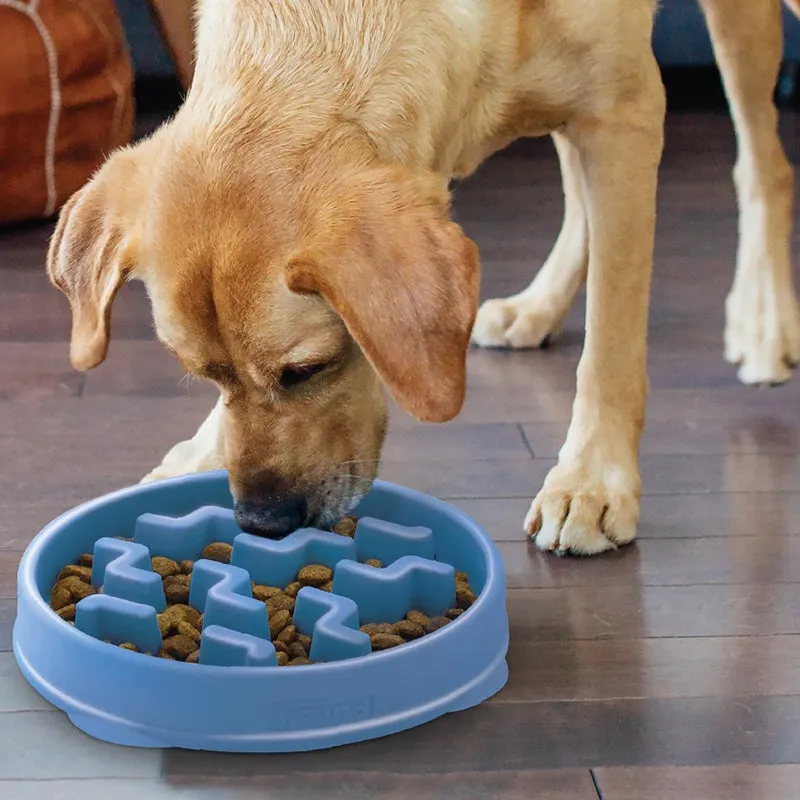 Outward Hound - FUN FEEDER SLO BOWL LARGE | Antischlingnapf für Deinen Hund