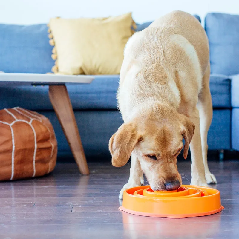 Outward Hound - FUN FEEDER SLO BOWL LARGE | Antischlingnapf für Deinen Hund