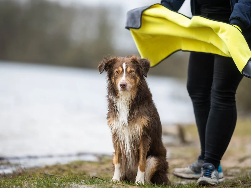 Handtuch BUDDY für Hunde