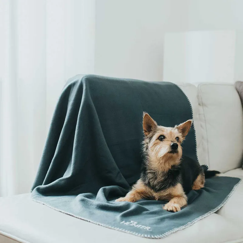 HUNTER - HUNDEDECKE CASPER | kuschelige Fleecedecke für Deinen Hund