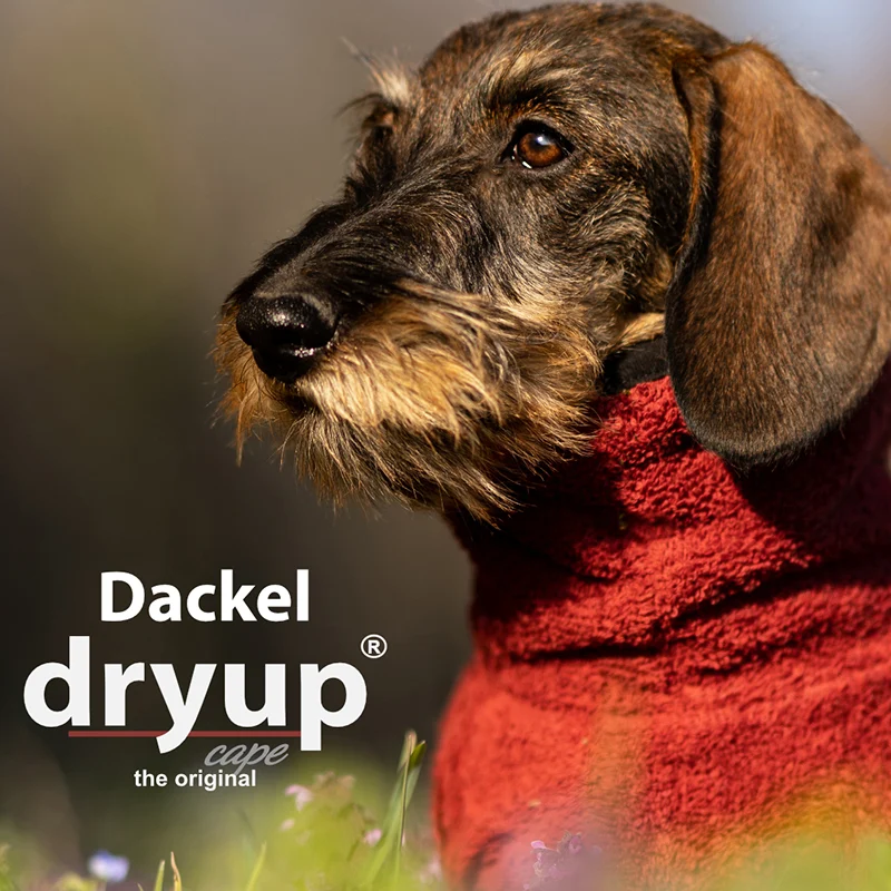 DRYUP cape Dackel & Co | Hundebademantel - mit angepasstem Schnitt für Dackel