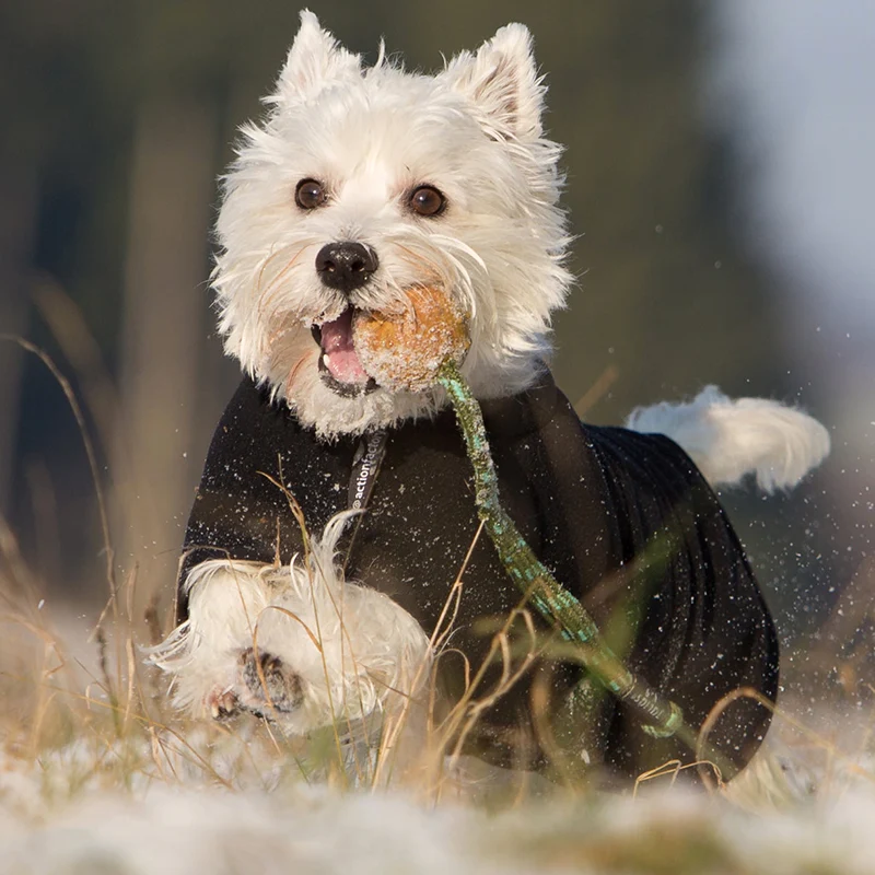 WARMUP cape Classic mini | wärmender Hundemantel für kleine Hunde
