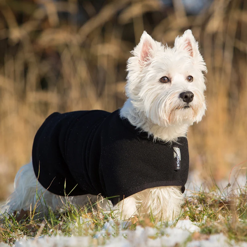 WARMUP cape Classic mini | wärmender Hundemantel für kleine Hunde