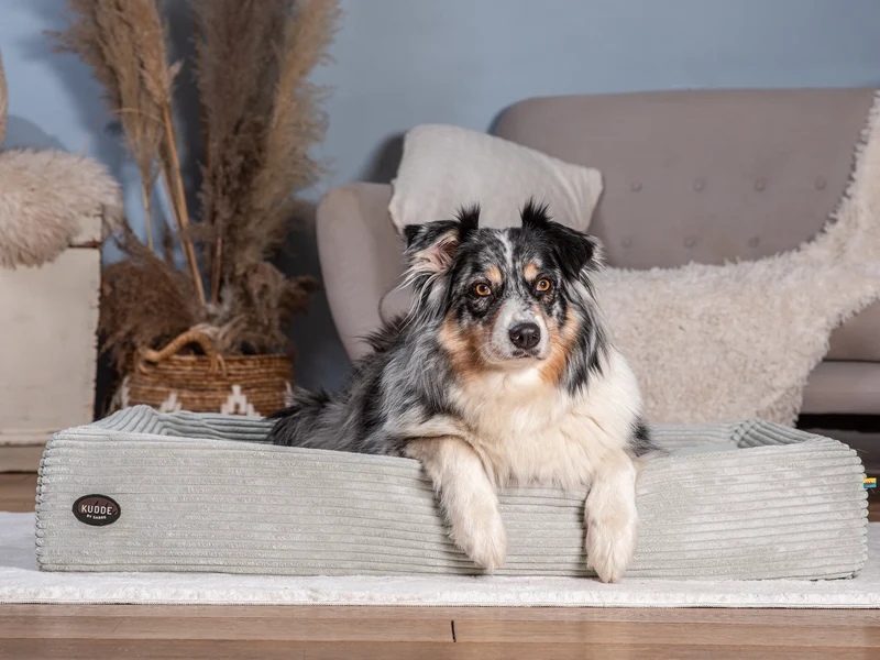 Hundebett KUDDE Cord