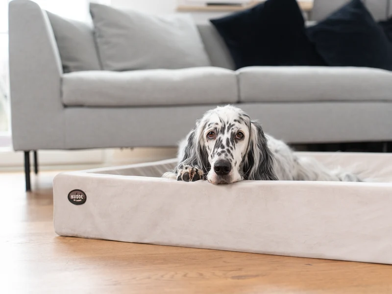 Hundebett KUDDE Samt