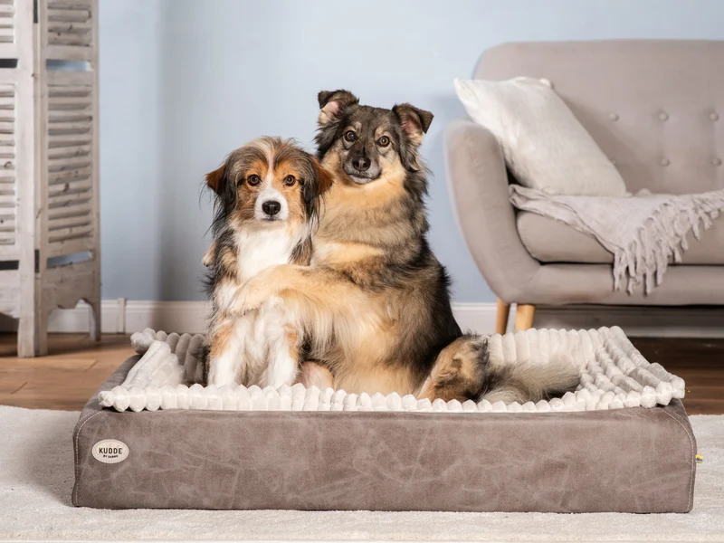 Hundebett KUDDE veganes Wildleder