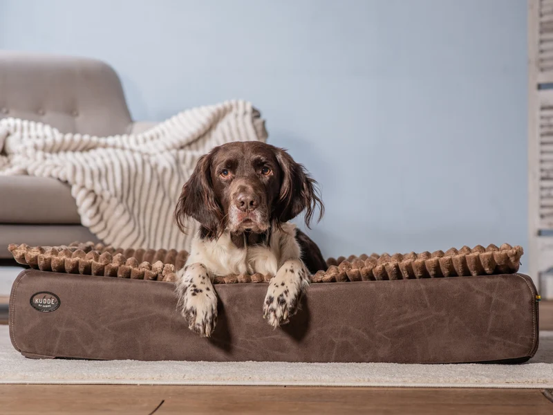 Hundebett KUDDE veganes Wildleder