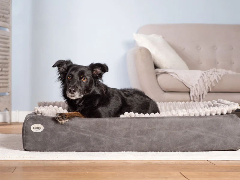 Hundebett KUDDE veganes Wildleder