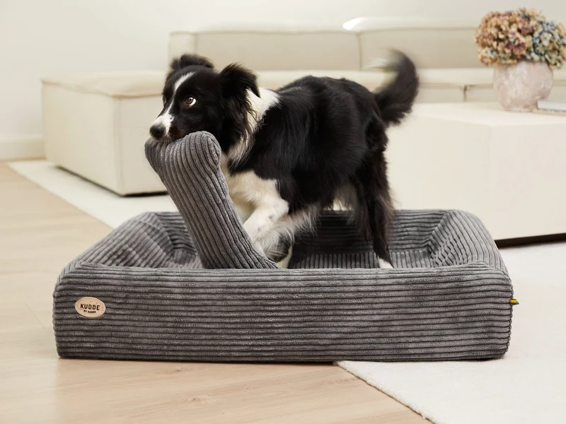Kissen KUSCHELKNOCHEN Cord