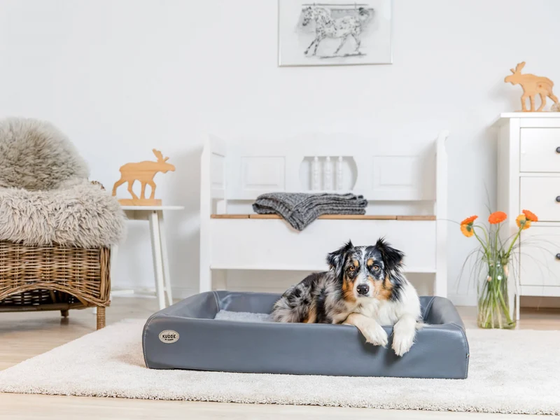 Hundebett KUDDE Kunstleder